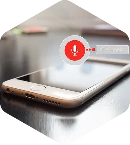 Voice SEO